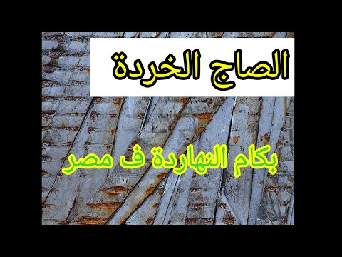اسعار الصاج الخردة اليوم فى مصر مفاجآت فى السوق الطن بكام تجارة الصاج الخردة تجارة الخردة