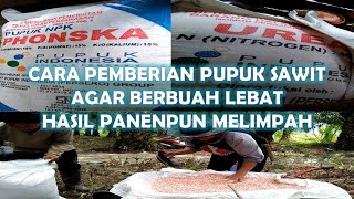 pupuk kelapa sawit agar berbuah lebat ~ pencampuran pupuk npk phonska dan urea untuk tanaman sawit
