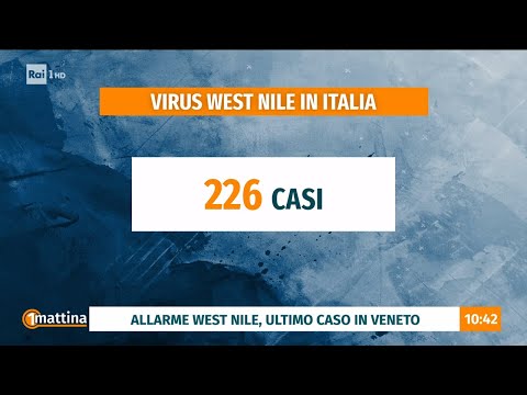 Video Allarme West Nile: 226 casi in Italia - Unomattina 20/08/2026
