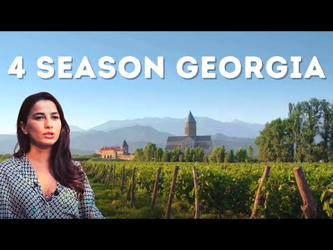 Video: Vacanțe de vară în Georgia 2021