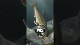 Be an ocean hero! #CleanSeas #ProtectMarineLife