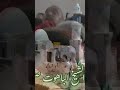 مولد من مقام الشيخ الباهوت صفي الدين أحمد بن علوان يا إلهي بجاههم برضى والسعادة