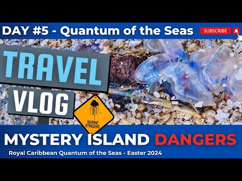 DAY #5 Vlog Quantum of the Seas Mystery Island Danger Blue Bottles Video Thumbnail