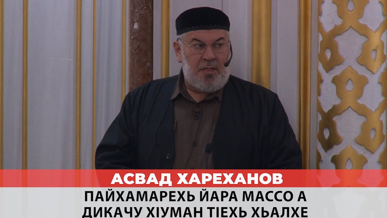 Асвад - Пайхамарехь йара массо а дикачу хlуман тlехь хьалхе