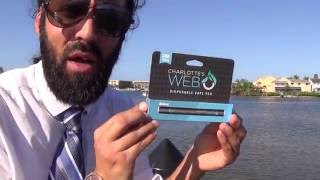 charlottes web cbd disposable vape pen review