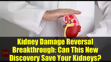 Kidney Damage Reversal Breakthrough: Can This New Discovery Save Your Kidneys?