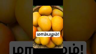 மாம்பழம்tamil trending viral mango india fruit facts tree food shorts health tasty new