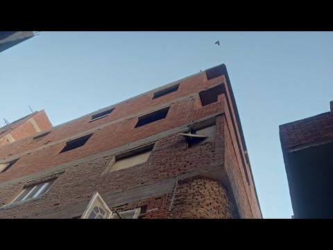 شقق تمليك ١٠٠ متر طوب احمر ٢٠٠ الف