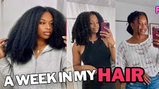 A Week In My Hair | styling “mini twists”