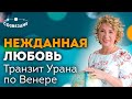 Транзит Урана по Венере. Урок 11, курса «Основы прогнозирования»