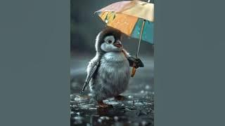 This Baby Penguin Will Melt Your Heart! #cute #cuteanimals #penguin #viral #shorts