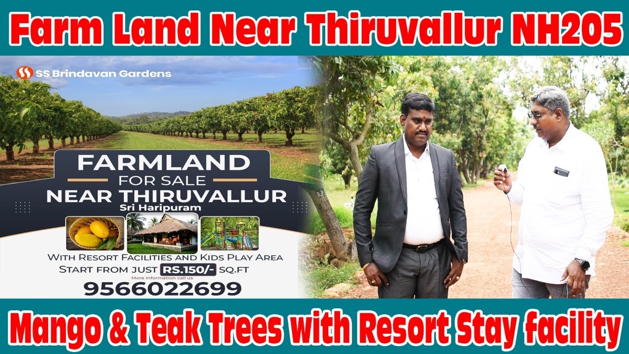 Farm Land For Sale Near Chennai Cheap Farm Land For Sale Near Chennai