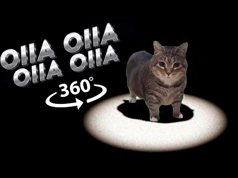 360° VR W&W