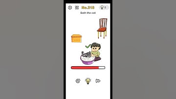 Brain Out Level 218 Bath The Cat Walkthrough Solution