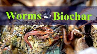 Worms and Biochar: Increase Microbial BioDiversity 2023