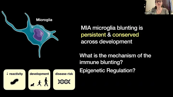[Lindsay Hayes] Prenatal immune stress blunts micr...