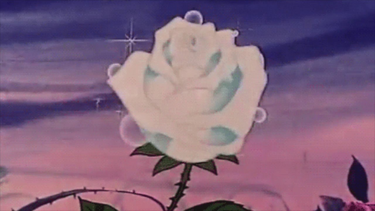 you look like a flower - richard caiton ( slowed + reverb )