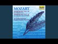 Miniature de la vidéo de la chanson Symphony No. 40 In G Minor, K. 550: I. Molto Allegro