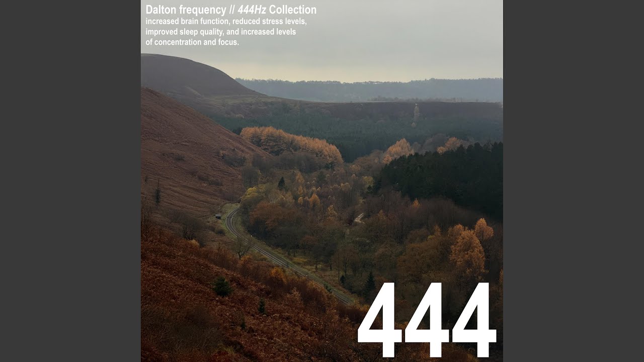 444Hz | Soul Frequency Elevation