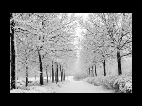 sergo beridze   თეთრი დეკემბერი.  ( White December )