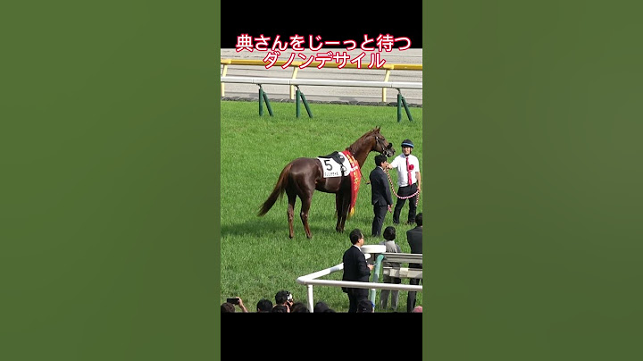 典さんを待つ可愛いダノンデサイル 勝利の嘶きにざわつく場内！ #shorts #日本ダービー #横山典弘