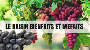 Quels sont les effets secondaires du raisin ?