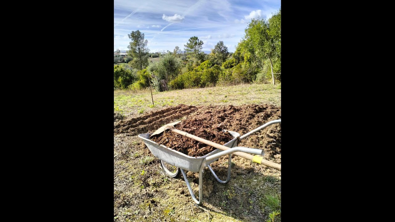 “Plantar Favas na Horta | Vida Rural Off Grid 🌱”  T3 - EP 2