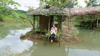 Download Lagu Turn Back Time: 1 Year After Being Evicted, Single Mother Builds Bamboo House in the Lake MP3 Download Lagu Turn Back Time: 1 Year After Being Evicted, Single Mother Builds Bamboo House in the Lake MP3