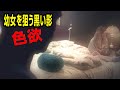 【色欲】異常犯幼女が狙われる凶悪連続レイプ殺人 | 七つの大罪 (ID Investigation Discovery)