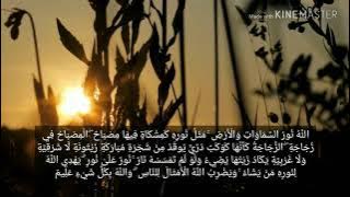 Surah An-Nur, Syaikh Hani Ar-Rifa'iy (Bacaan Sedih)