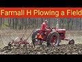 Farmall H Plowing a Field