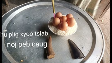 qhia hu plig xyoo tsisb noj peb caug /22/12/2023