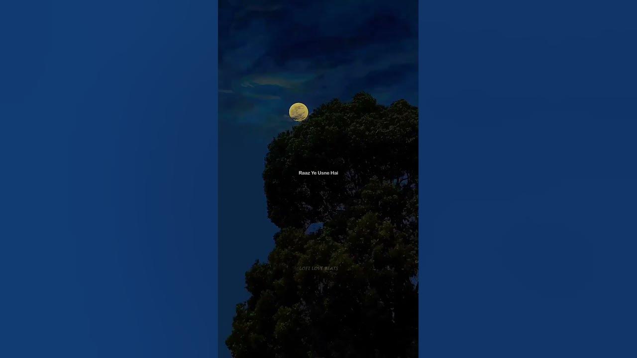 🤍   Maula Mere Maula ~ Roop Kumar Rathod | Aesthetic Status   🤍| Lofi Love Beats |
