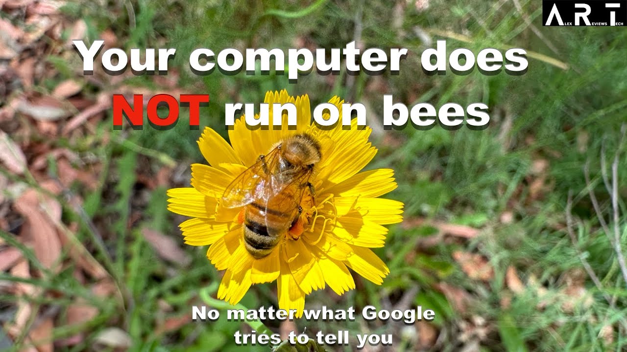 Bee Inside Computer No, Your Computer Doesn't Run On Microscopic Bees Despite What Google ...