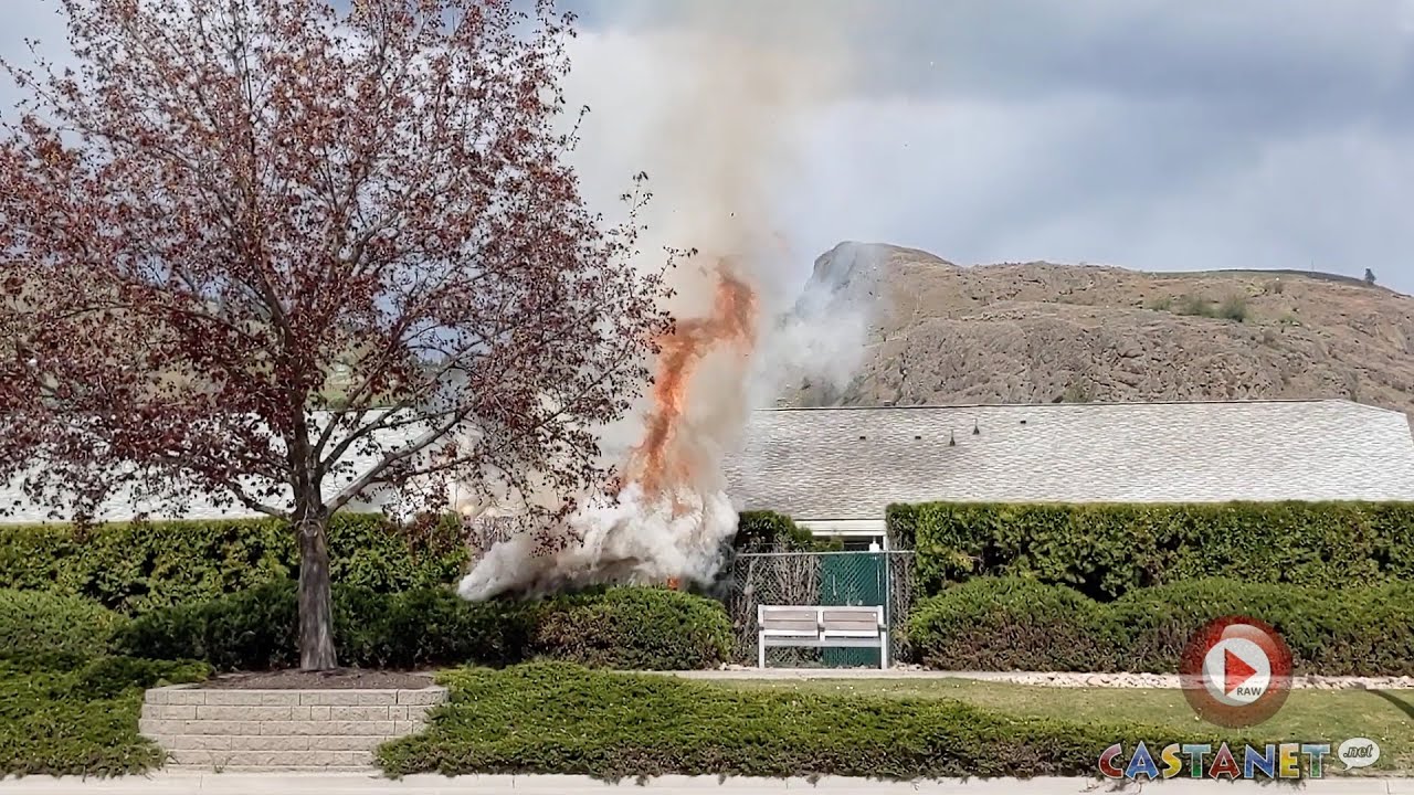 Hedge fire along busy Vernon road - YouTube