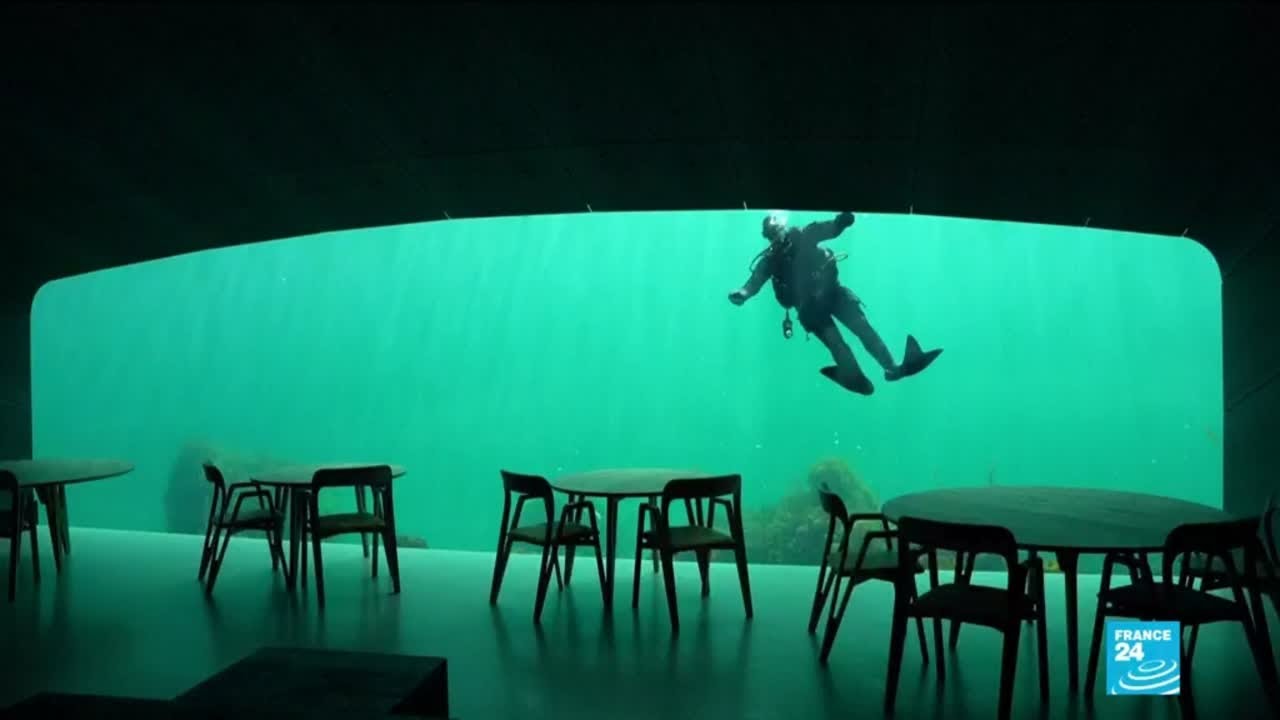 YouTube player