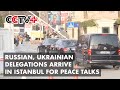 Russian, Ukrainian Delegations Arrive in Istanbul for Peace Talks