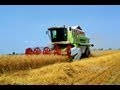 Claas Mega 208 Árpa aratás