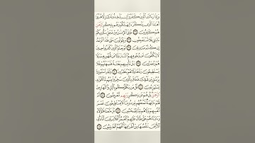 سورة الأنبياء/بصوت الشيخ محمد اللحيدان