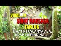 MANCING SIDAT RAKSASA | DI LUAR DUGAAN SIDAT SUPER BESAR TERANGKAT | EEL FISHING| BIG EEL | Dek doer