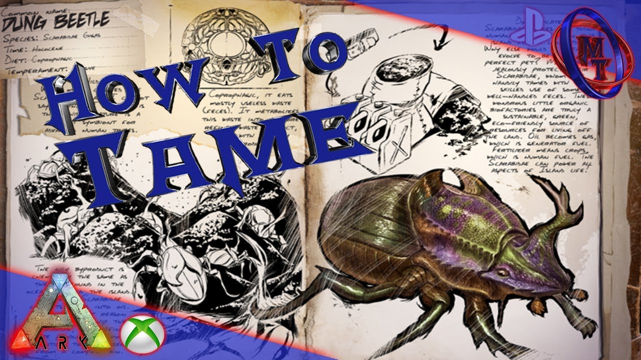 Ark Survival Evolved How To Tame Dung Beetle