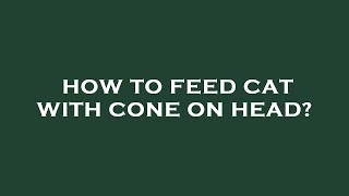 How to feed cat with cone on head?