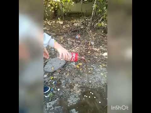 პატარა ფანტანი კოკაკოლის