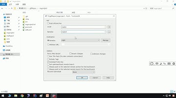 43 使用TortoiseGit管理文件版本
