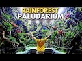 HIGHLIGHT PROSES PEMBUATAN RAINFOREST PALUDARIUM PGI !!!