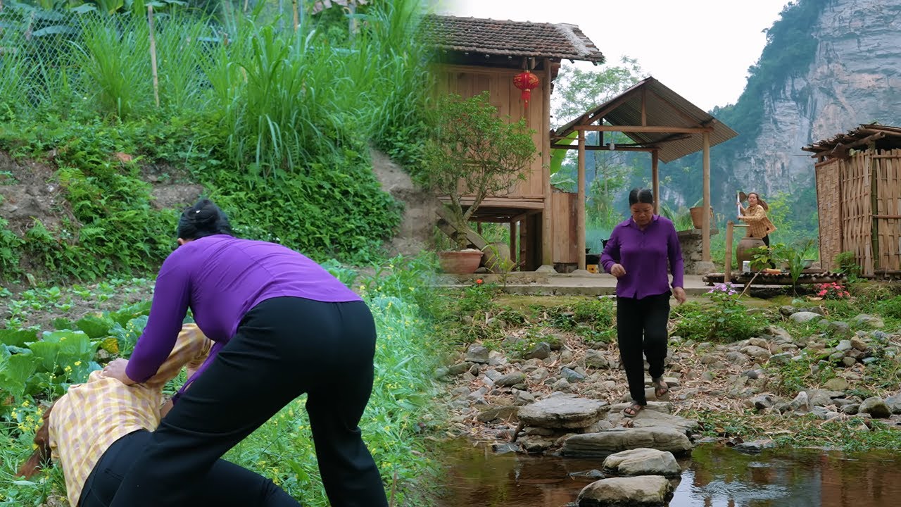 Ly Tieu Ha is beaten and harassed by her cruel mother in law when her husband is away!