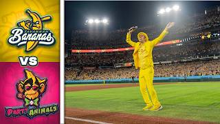 FULL HIGHLIGHT | Savannah Bananas at Titans NFL Stadium |  70,000 Fans!