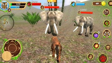 Tiger Family Simulator #12 - Tiger Vs Elephant Vs Gorilla | Best Android GamePlay