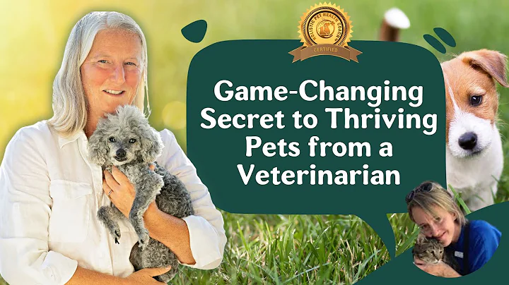 Dr. Laura Cochrane Testimony On Holistic Pet Healt...