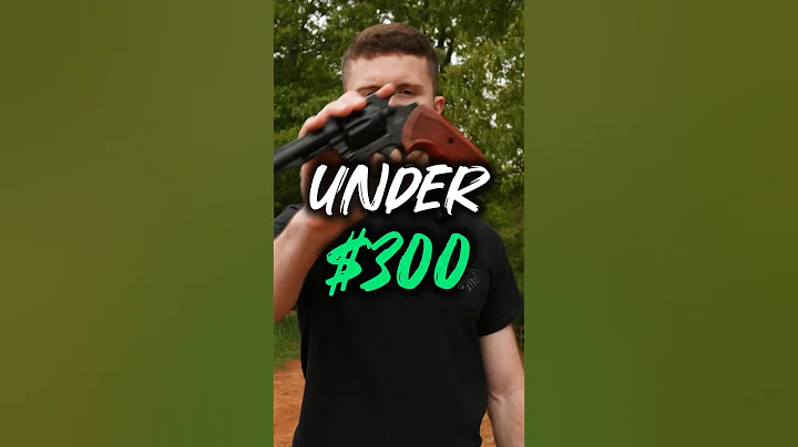 Best Budget Revolver Under $300